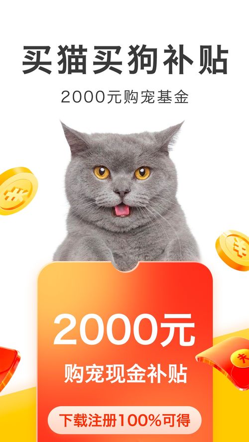 宠物配对连一连官方版下载-宠物配对连一连2024下载v.3.85 宠物配对连一连官方版下载-宠物配对连一连2024下载v.3.85