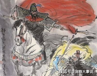 (王侯将相群)集齐王侯将相，天下无敌风华绝代