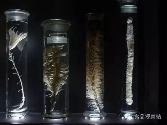 (福尔马林的功效和作用)福尔马林63集免费！快来体验惊心动魄的剧情