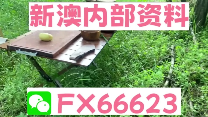 新澳精准内部码资料期期准|探索神秘的夜空与星辰_高级款.5.18