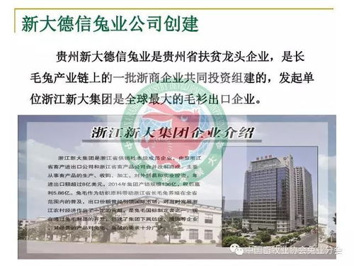 新奥门特免费资料大全管家婆|实践验证解释落实_挑战版.1.88