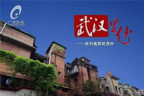 新奥门特免费资料大全凯旋门|重要性解释落实方法_冒险版3.983