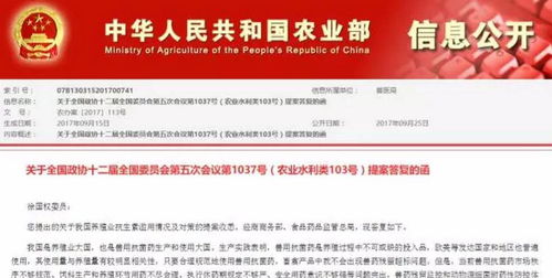 新澳门王中王天天开彩结果|精细分析解释落实_探索集.6.585