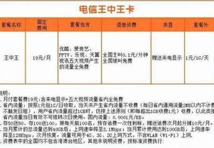 新澳门王中王天天开彩结果|精细分析解释落实_探索集.6.585